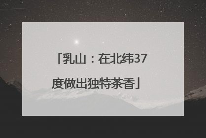 乳山：在北纬37度做出独特茶香