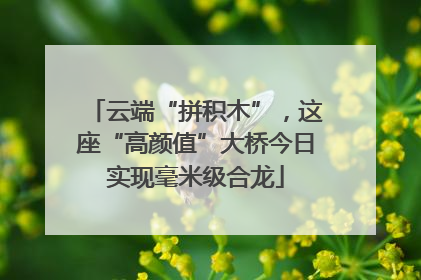 云端“拼积木”，这座“高颜值”大桥今日实现毫米级合龙