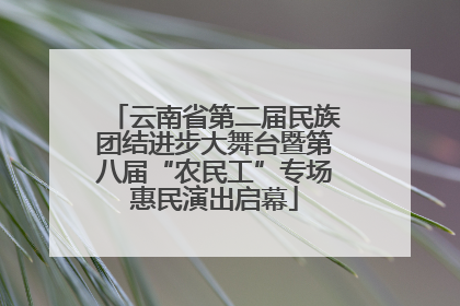云南省第二届民族团结进步大舞台暨第八届“农民工”专场惠民演出启幕