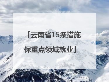 云南省15条措施保重点领域就业
