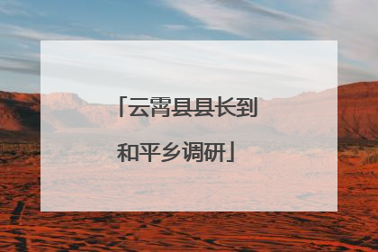 云霄县县长到和平乡调研