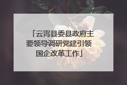 云霄县委县政府主要领导调研党建引领国企改革工作