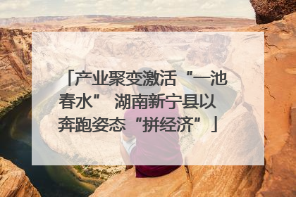 产业聚变激活“一池春水” 湖南新宁县以奔跑姿态“拼经济”