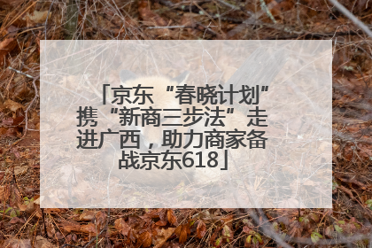 京东“春晓计划”携“新商三步法”走进广西，助力商家备战京东618