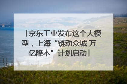 京东工业发布这个大模型，上海“链动众城 万亿降本”计划启动