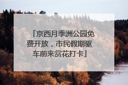 京西月季洲公园免费开放，市民假期驱车前来赏花打卡