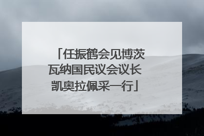 任振鹤会见博茨瓦纳国民议会议长凯奥拉佩采一行