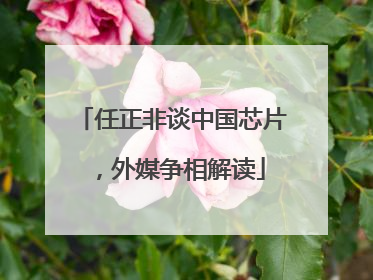 任正非谈中国芯片，外媒争相解读