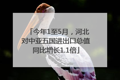 今年1至5月，河北对中亚五国进出口总值同比增长1.1倍