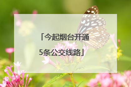 今起烟台开通5条公交线路