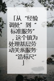 从“经验调处”到“标准服务”，这个镇为处理基层劳动关系服务“造标尺”