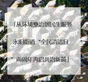 从环境整治到民生服务 永阳街道“全民清洁日”两周年再启共治新篇