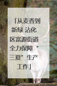 从麦香到新绿 沾化区富源街道全力保障“三夏”生产工作