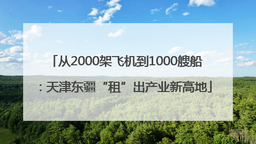 从2000架飞机到1000艘船：天津东疆“租”出产业新高地
