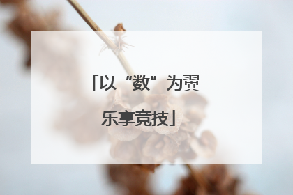 以“数”为翼 乐享竞技