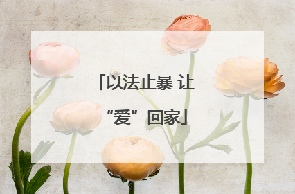 以法止暴 让“爱”回家