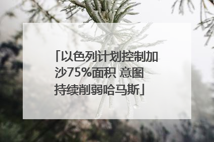 以色列计划控制加沙75%面积 意图持续削弱哈马斯