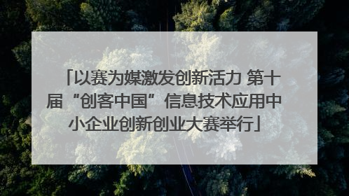 以赛为媒激发创新活力 第十届“创客中国”信息技术应用中小企业创新创业大赛举行