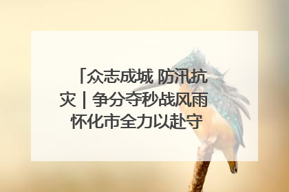 众志成城 防汛抗灾｜争分夺秒战风雨 怀化市全力以赴守护人民群众安全