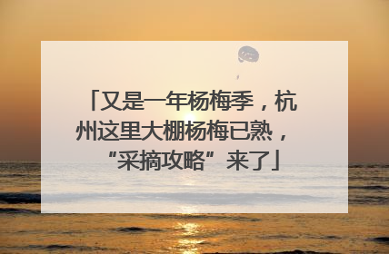 又是一年杨梅季，杭州这里大棚杨梅已熟，“采摘攻略”来了