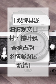 双牌县泷泊镇观文口村：粽叶飘香承古韵 乡情凝聚展新篇