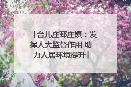 台儿庄邳庄镇：发挥人大监督作用 助力人居环境提升
