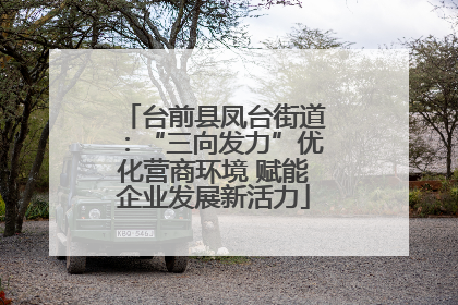 台前县凤台街道：“三向发力”优化营商环境 赋能企业发展新活力