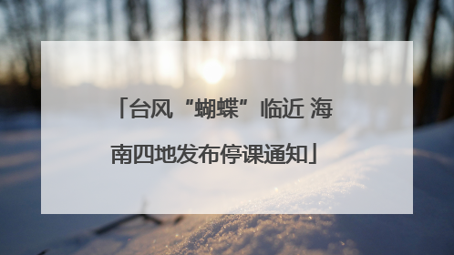 台风“蝴蝶”临近 海南四地发布停课通知