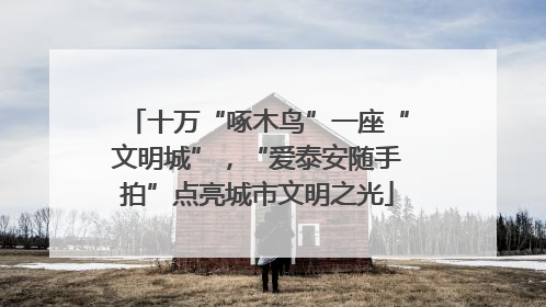 十万“啄木鸟”一座“文明城”，“爱泰安随手拍”点亮城市文明之光
