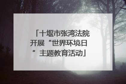 十堰市张湾法院开展“世界环境日”主题教育活动
