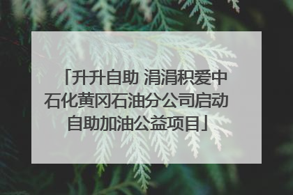 升升自助 涓涓积爱中石化黄冈石油分公司启动自助加油公益项目