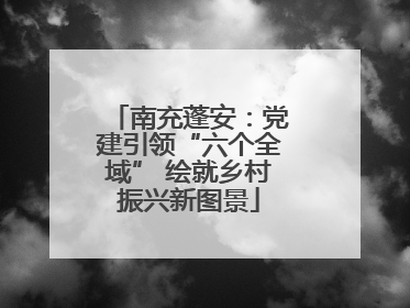 南充蓬安：党建引领“六个全域” 绘就乡村振兴新图景