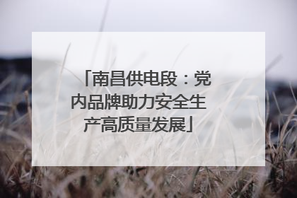 南昌供电段：党内品牌助力安全生产高质量发展