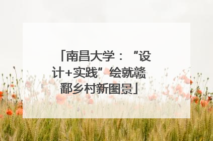 南昌大学：“设计+实践”绘就赣鄱乡村新图景