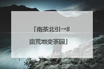 南茶北引→8亩荒地变茶园