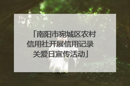 南阳市宛城区农村信用社开展信用记录关爱日宣传活动