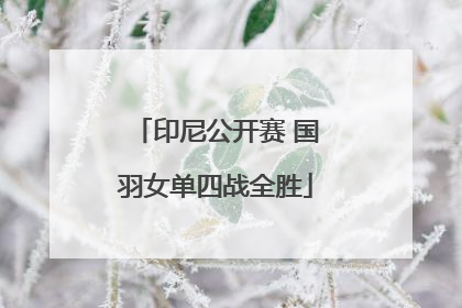 印尼公开赛 国羽女单四战全胜