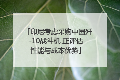 印尼考虑采购中国歼-10战斗机 正评估性能与成本优势