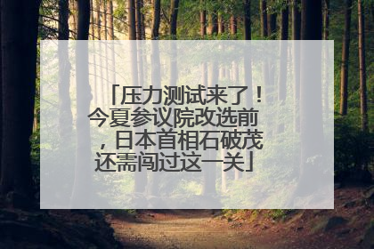 压力测试来了！今夏参议院改选前，日本首相石破茂还需闯过这一关
