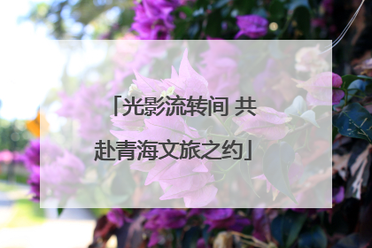 光影流转间 共赴青海文旅之约