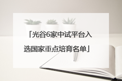 光谷6家中试平台入选国家重点培育名单