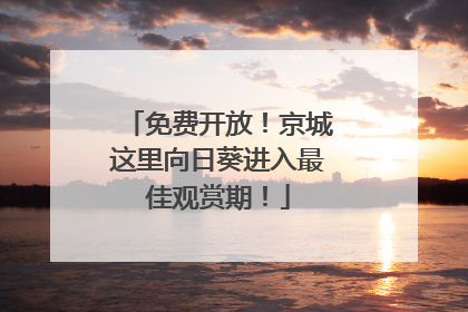 免费开放！京城这里向日葵进入最佳观赏期！