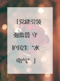 党建引领强监管 守护民生“水电气”