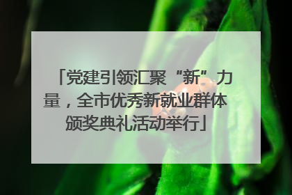 党建引领汇聚“新”力量，全市优秀新就业群体颁奖典礼活动举行