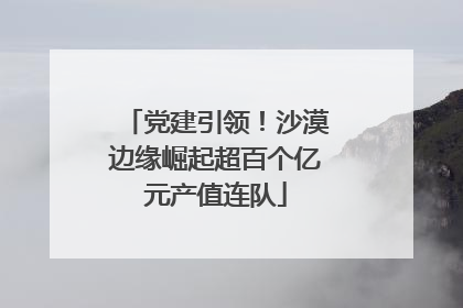 党建引领！沙漠边缘崛起超百个亿元产值连队