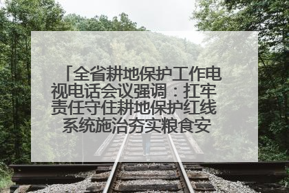 全省耕地保护工作电视电话会议强调：扛牢责任守住耕地保护红线 系统施治夯实粮食安全根基 王宁作出批示 王予波出席并讲话