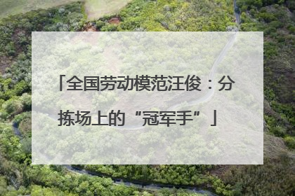 全国劳动模范汪俊：分拣场上的“冠军手”