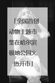 全国首创动物主题市集在哈尔滨极地公园火热开市
