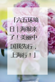 六五环境日｜海报来了！美丽中国我先行，上海行！