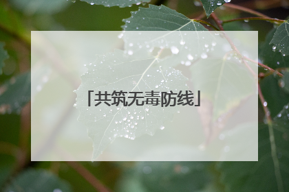 共筑无毒防线